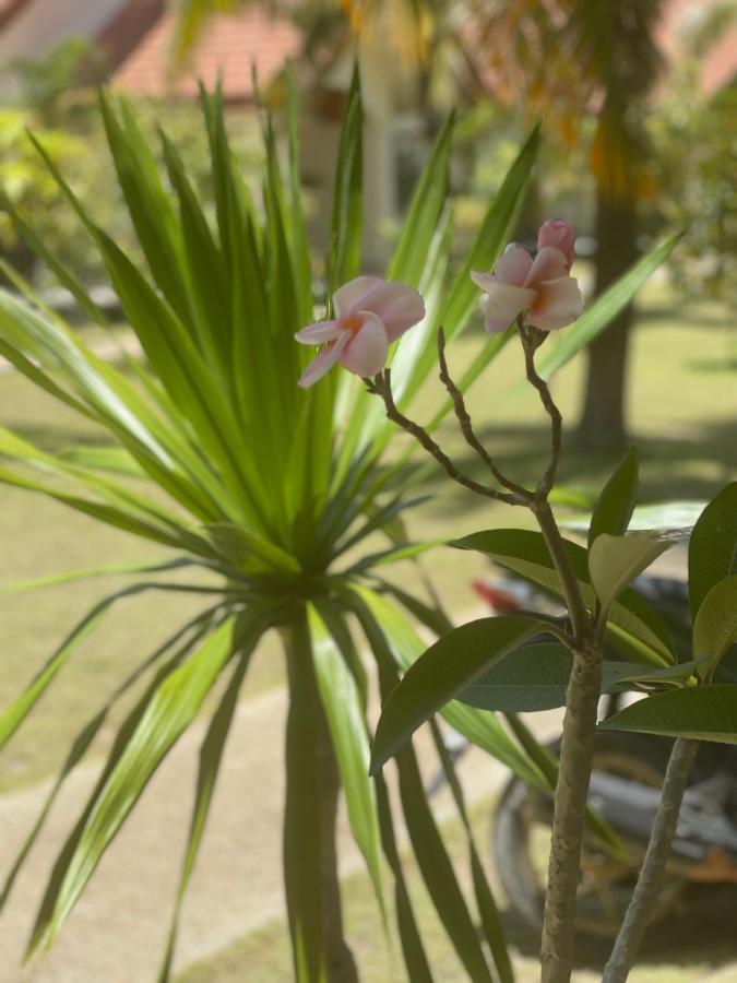 Paradis Villa A9, Koh Kho Khao Koh Kho Khao Island Zewnętrze zdjęcie